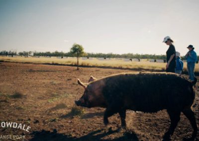 The Borrowdale Pork Journey | AUSTRALIA