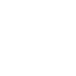 Palmertown