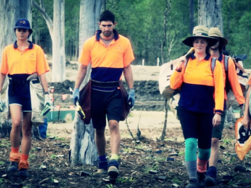 TimberWolf Planting Projects | AUSTRALIA