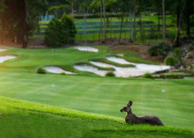 Brookwater Golf Club | AUSTRALIA